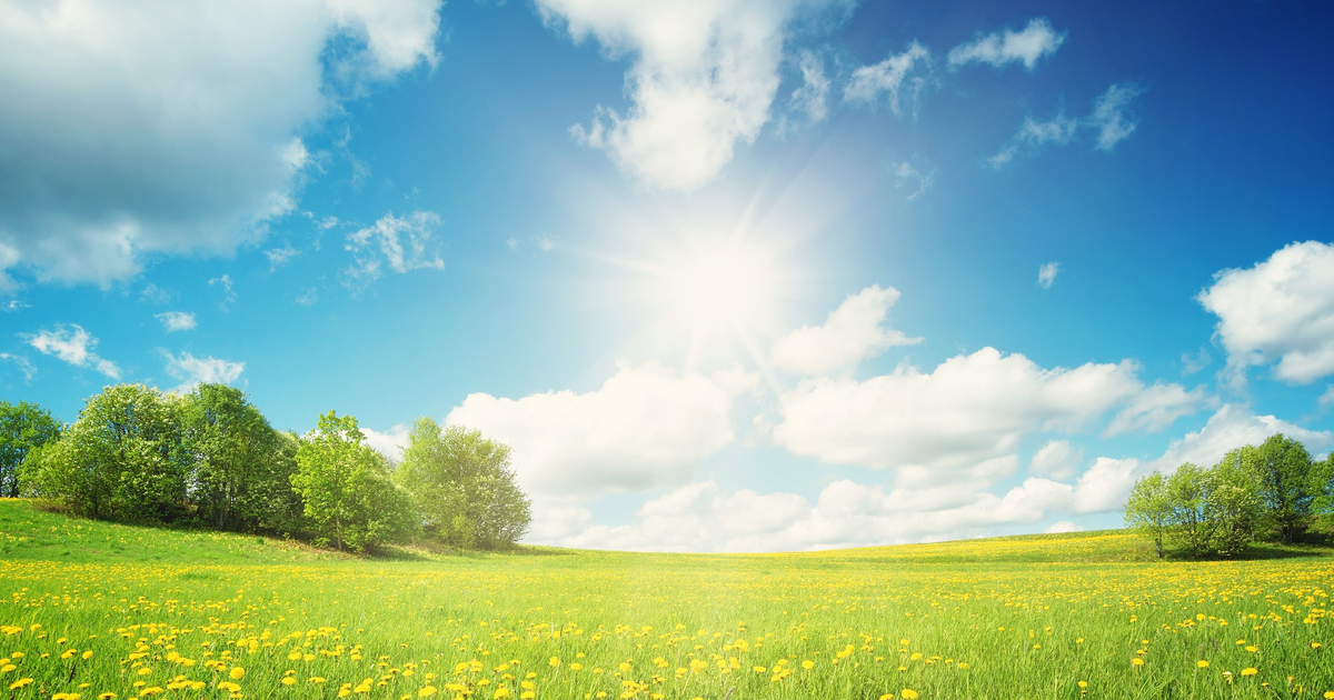 biowetter münster heute - Article 1